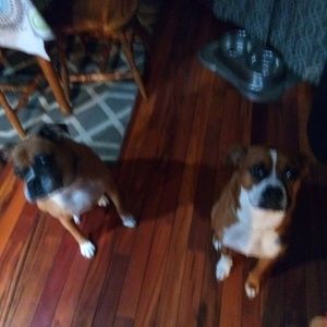 Meet your Posher, Joel